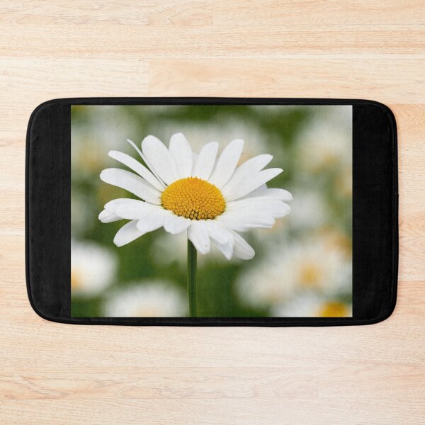 Item preview, Ox-eye daisy 34 designed and sold by Jouko Lehto Photography.