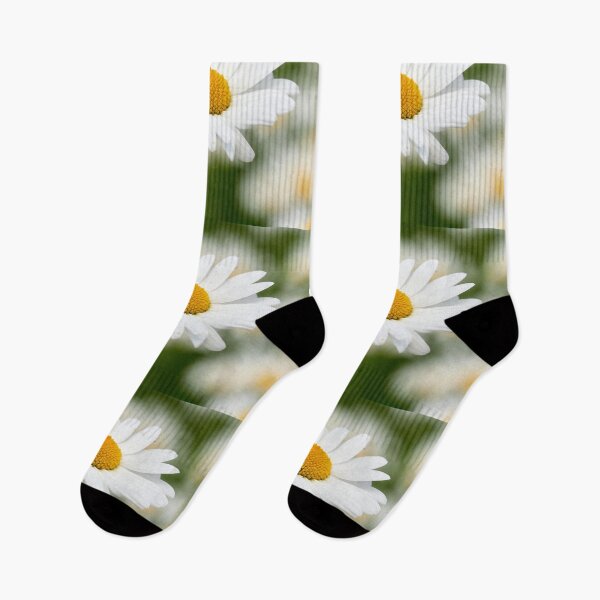 Item preview, Ox-eye daisy 34 designed and sold by Jouko Lehto Photography.