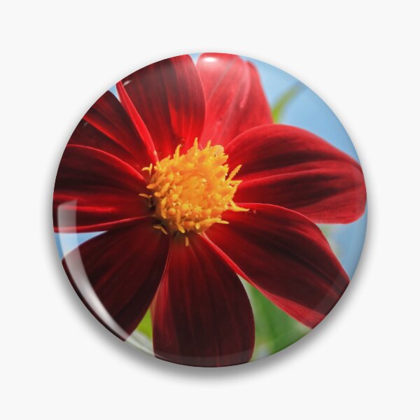 Item preview, Red single Dahlia. designed and sold by John Ray.