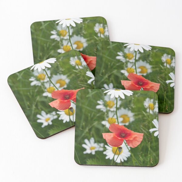 Item preview, Ox-eye daisies and a red poppy 1 designed and sold by Jouko Lehto Photography.