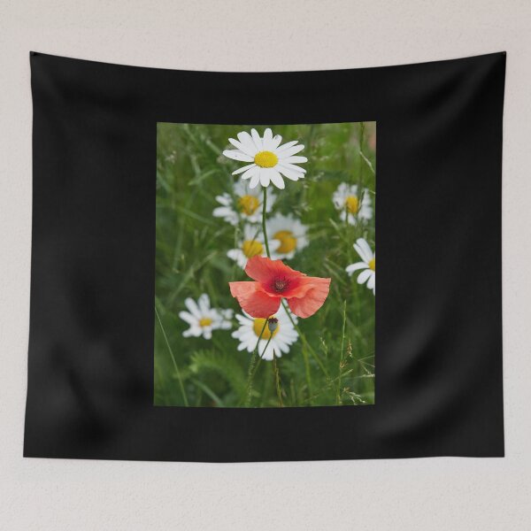 Item preview, Ox-eye daisies and a red poppy 1 designed and sold by Jouko Lehto Photography.