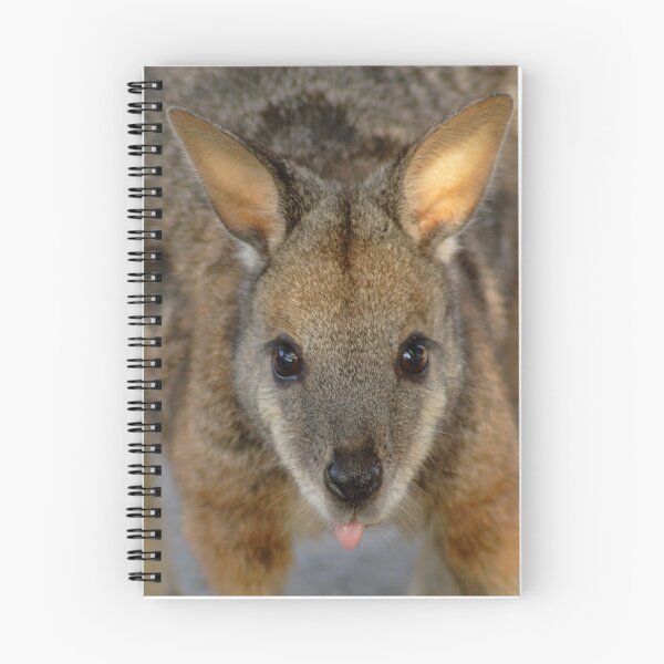 Item preview, Tammar Wallaby designed and sold by Stuart Robertson Reynolds.