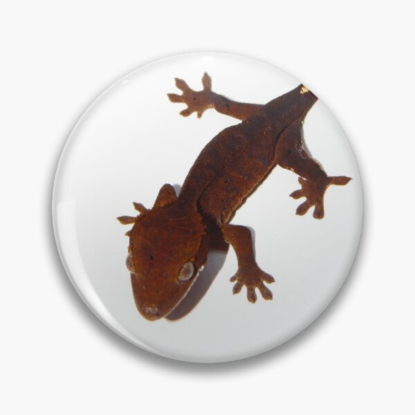 Item preview, Dark red crested gecko photograph designed and sold by bubbaclez.