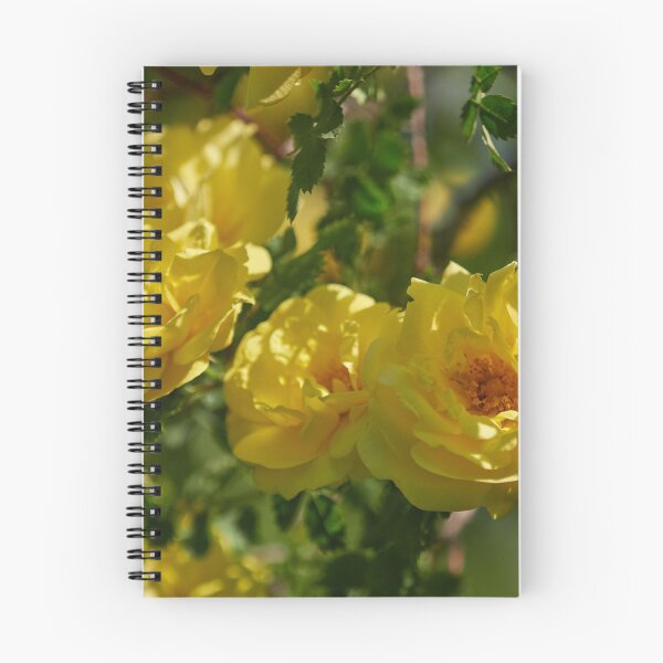 Item preview, The yellow Loiste rose 53 designed and sold by Jouko Lehto Photography.