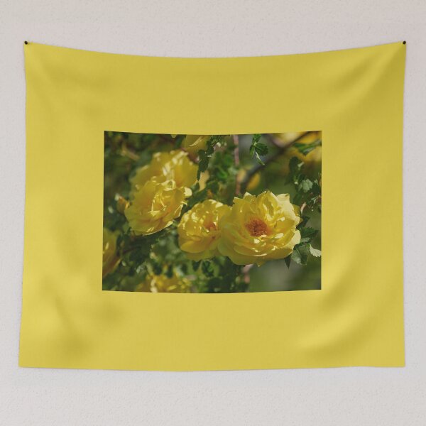 Item preview, The yellow Loiste rose 53 designed and sold by Jouko Lehto Photography.
