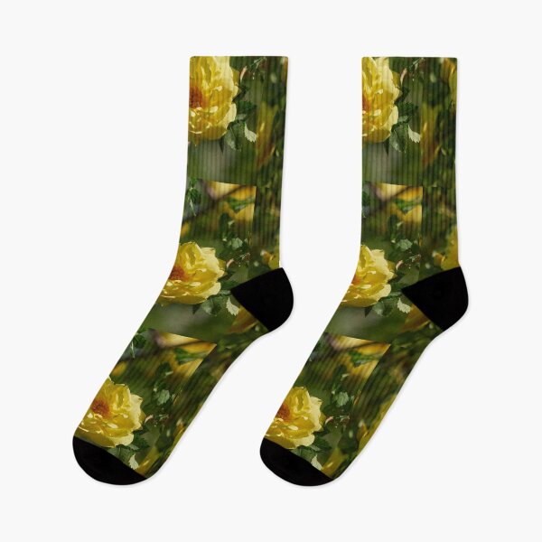 Item preview, The yellow Loiste rose 53 designed and sold by Jouko Lehto Photography.