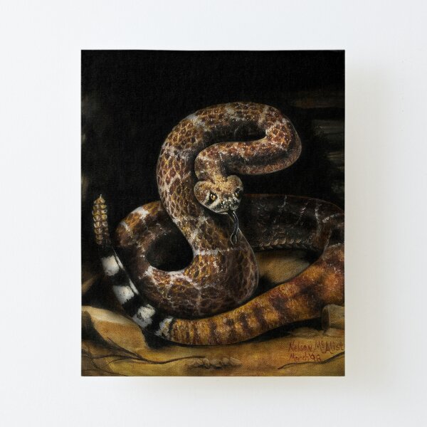 Canvas Mounted Print