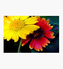 Yellow and red impact Photographic Print