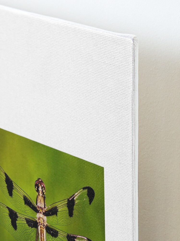 Alternate view of Dragonfly of the enchanted forest by Yannis Lobaina Mounted Print