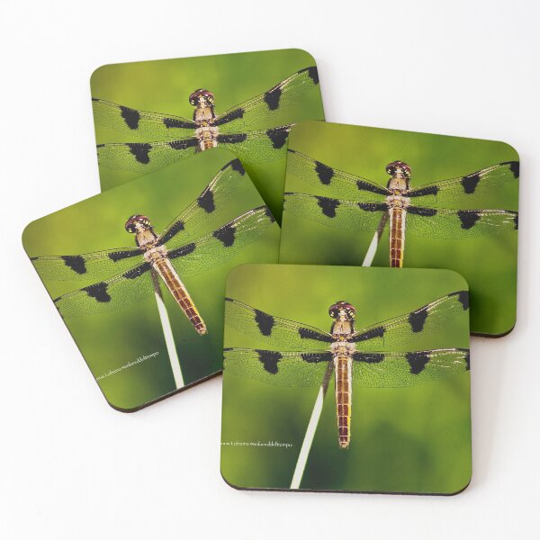 Item preview, Dragonfly of the enchanted forest by Yannis Lobaina  designed and sold by Yannis Lobaina Art .