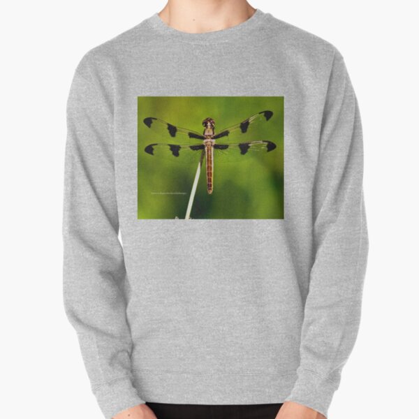 Dragonfly of the enchanted forest by Yannis Lobaina Pullover Sweatshirt