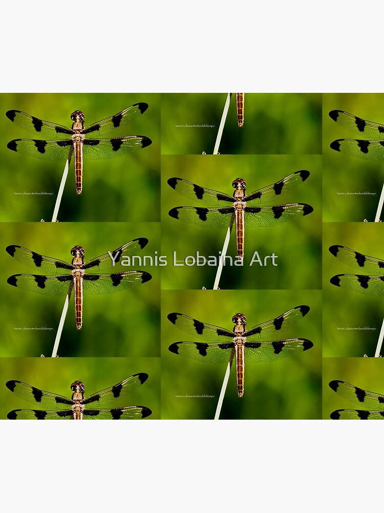 Dragonfly of the enchanted forest by Yannis Lobaina by lobaina1979