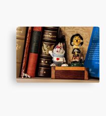 Bookshelf Canvas Print