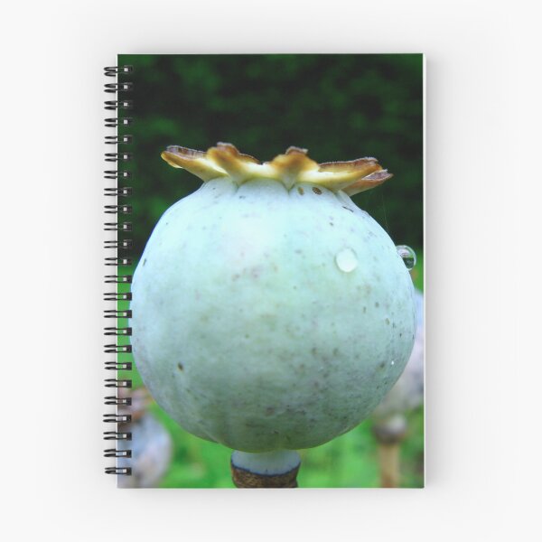 Item preview, Ahead designed and sold by Sharon Perrett.