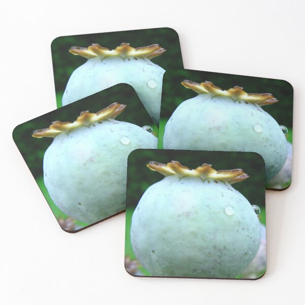 Item preview, Ahead designed and sold by Sharon Perrett.