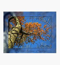 Giving thanks Photographic Print