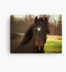 Handsome Leinwanddruck