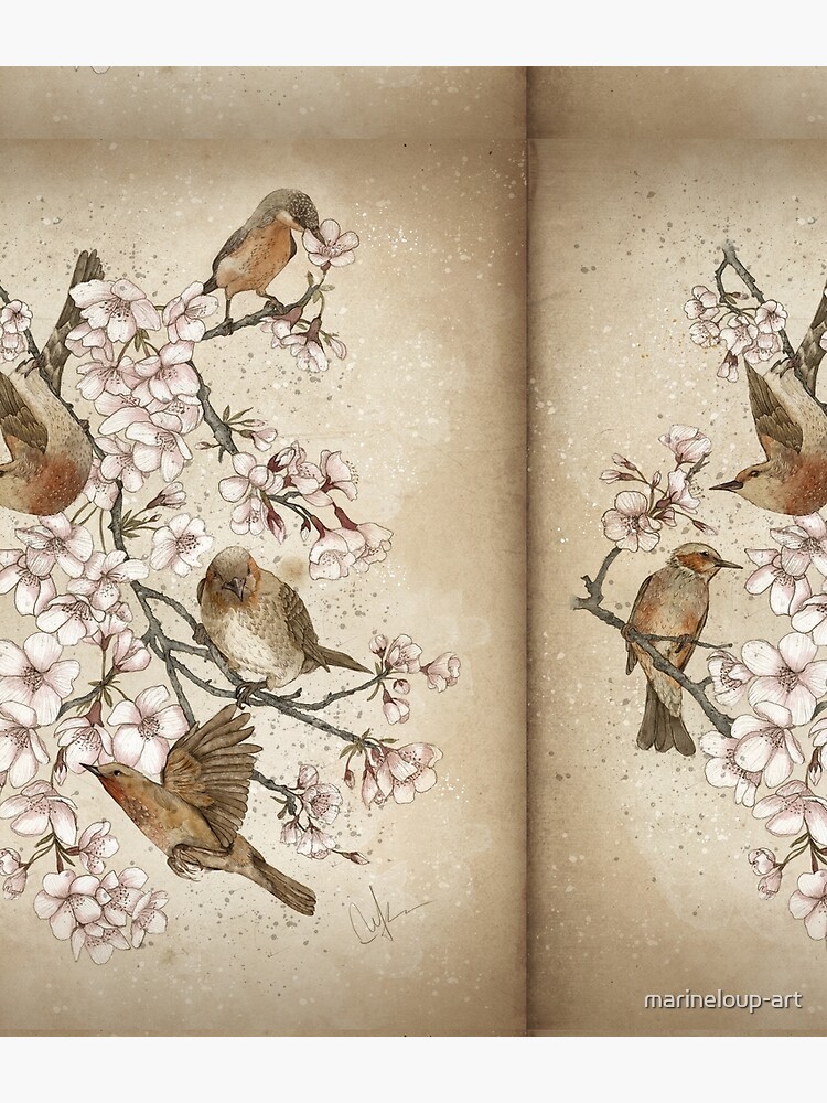 Too many birds by marineloup-art