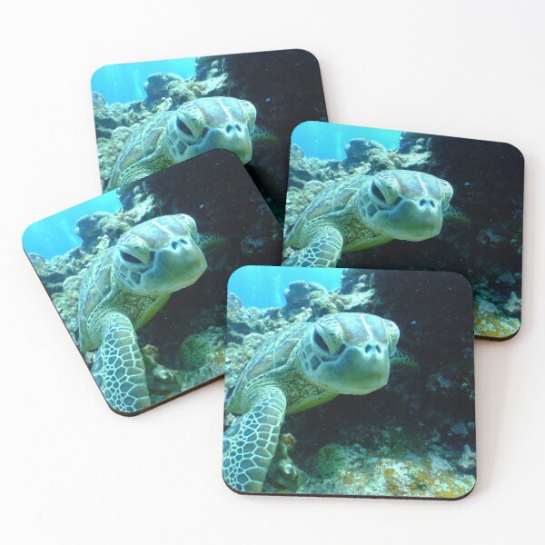 Item preview, Turtle designed and sold by Bimsbums.