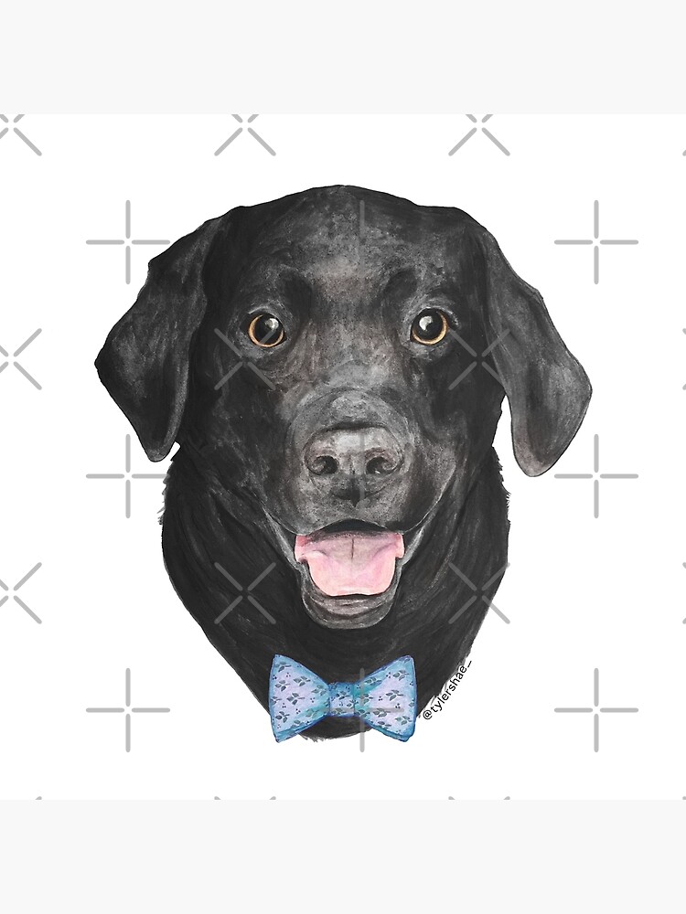 Black lab bow outlet tie