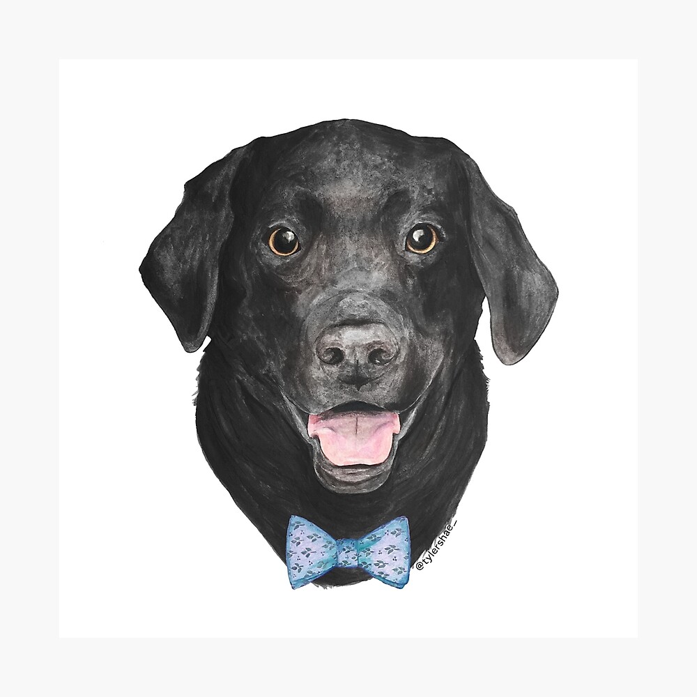 black lab bow tie