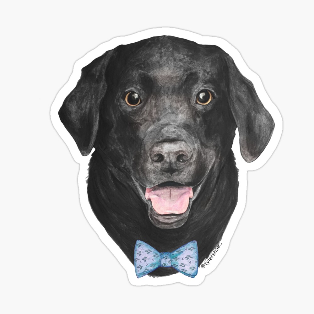 labrador bow tie
