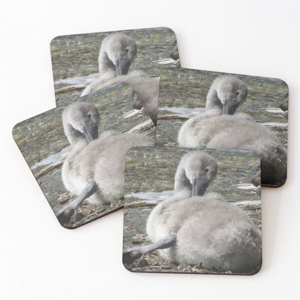 Item preview, Fluffy Cygnet designed and sold by Designs12.