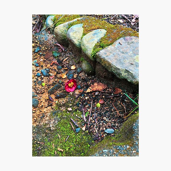Item preview, Fallen Bloom Red Blossom and Stone designed and sold by SakuraSkies.