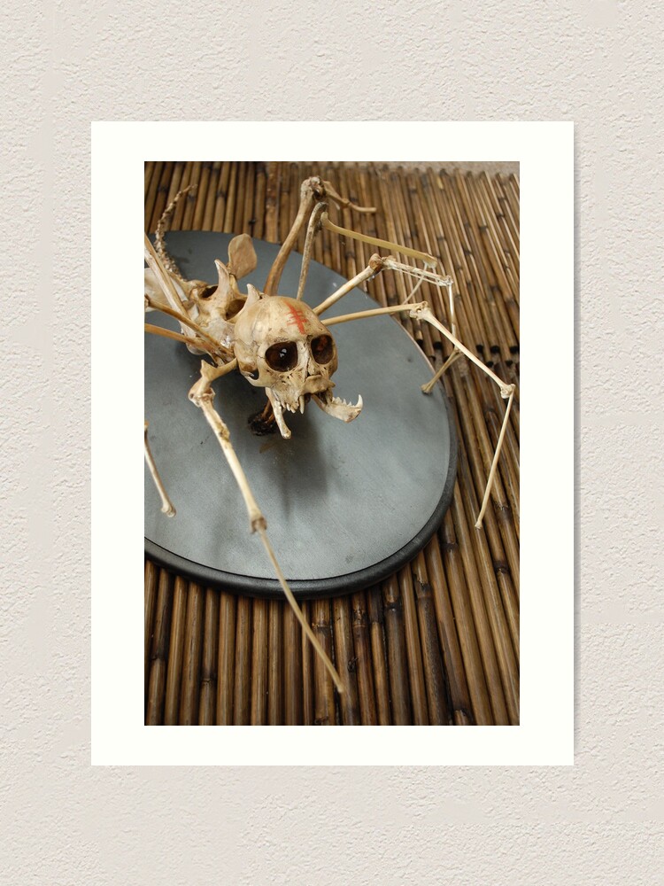 Alternate view of spider monkey taxidermy photograph Art Print
