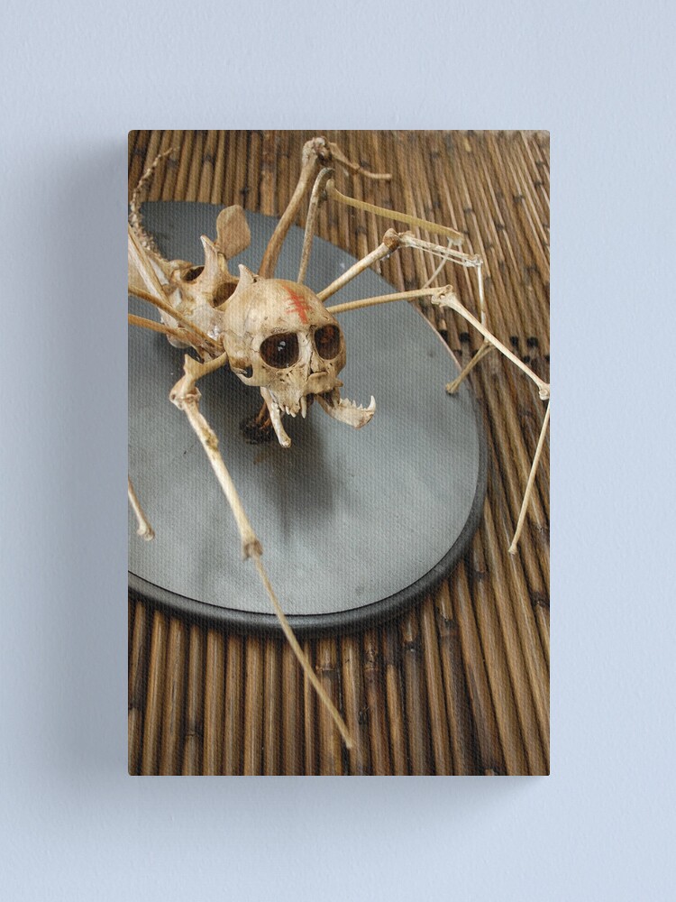 Alternate view of spider monkey taxidermy photograph Canvas Print