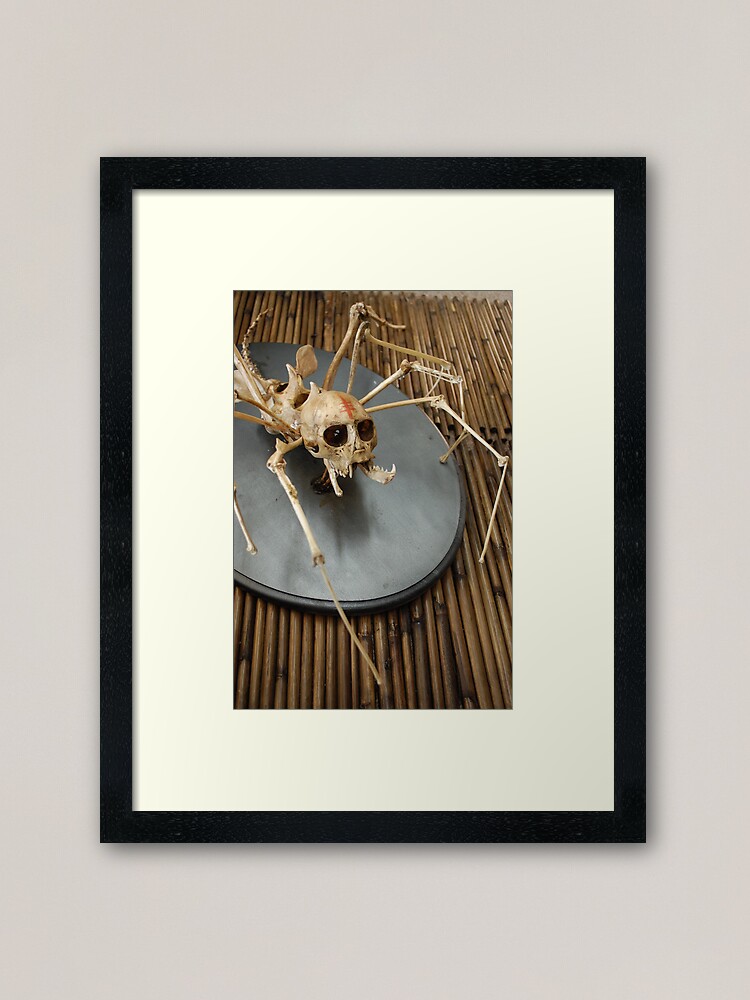 Alternate view of spider monkey taxidermy photograph Framed Art Print