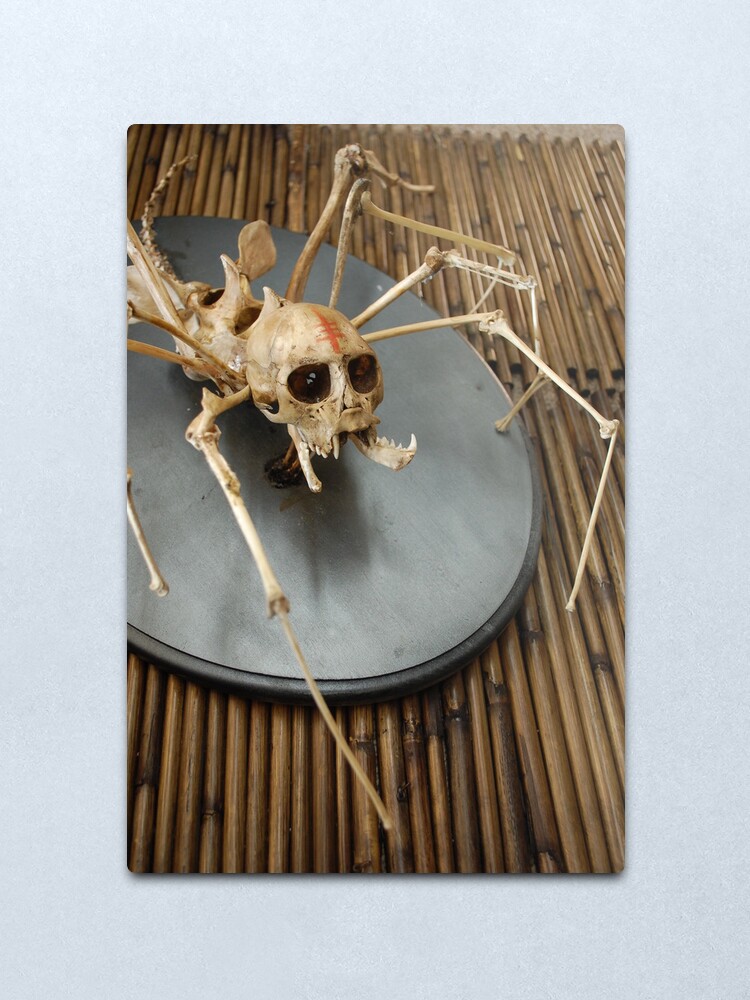 Alternate view of spider monkey taxidermy photograph Metal Print