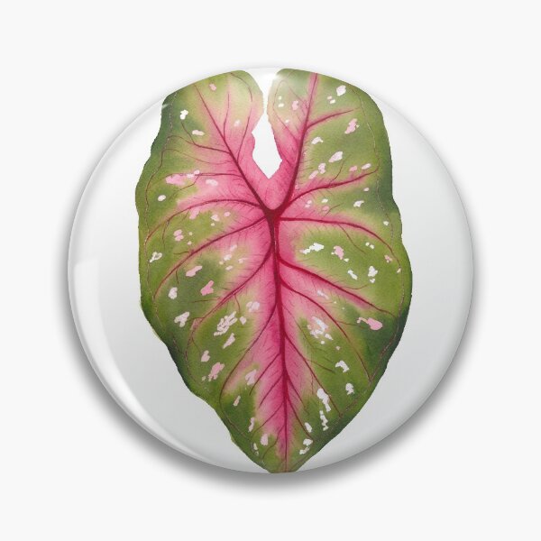 Item preview, Caladium leaf (Watercolor) designed and sold by cindybarillet.
