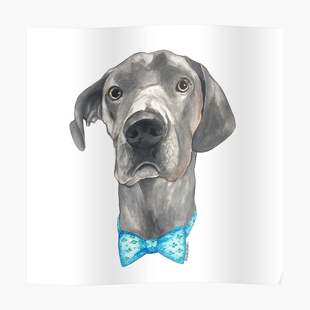 great dane bow tie