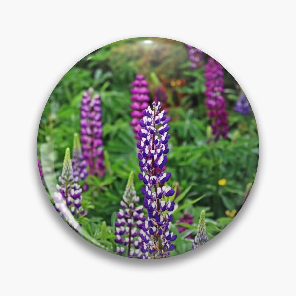 Item preview, Shades Of Purple Lupine designed and sold by Deb Oppermann.
