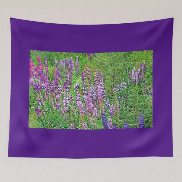 Item preview, Old Maid's Bonnets designed and sold by Deb Oppermann.
