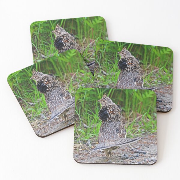 Item preview, Ruffed Grouse Display designed and sold by Deb Oppermann.