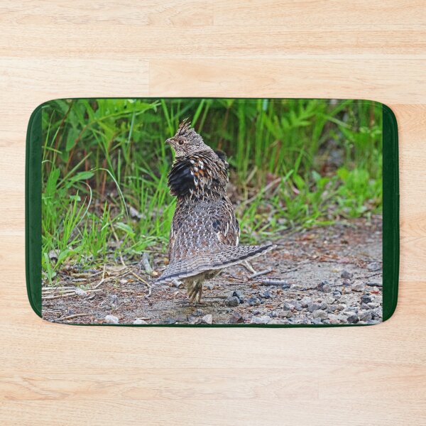 Item preview, Ruffed Grouse Display designed and sold by Deb Oppermann.