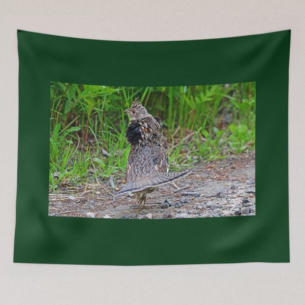 Item preview, Ruffed Grouse Display designed and sold by Deb Oppermann.