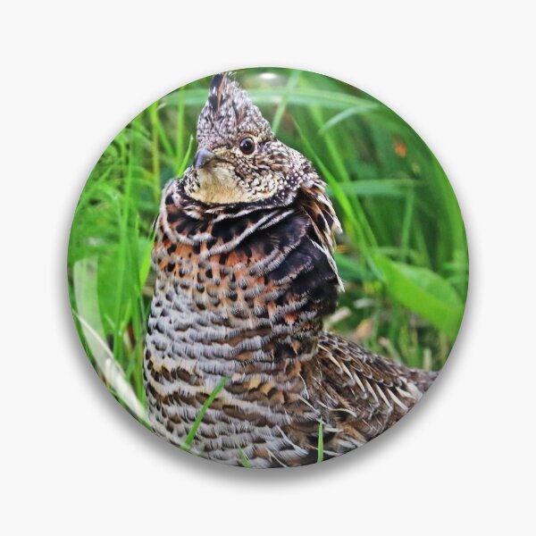 Item preview, Ruffed Grouse Stare designed and sold by Deb Oppermann.