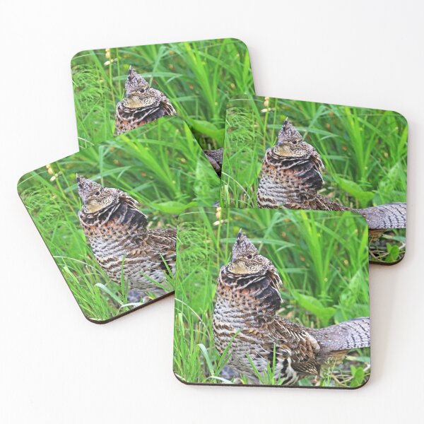 Item preview, Ruffed Grouse Stare designed and sold by Deb Oppermann.