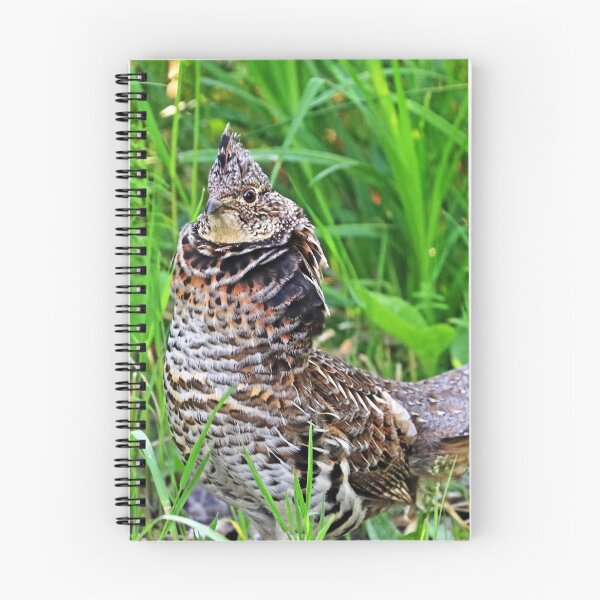 Item preview, Ruffed Grouse Stare designed and sold by Deb Oppermann.