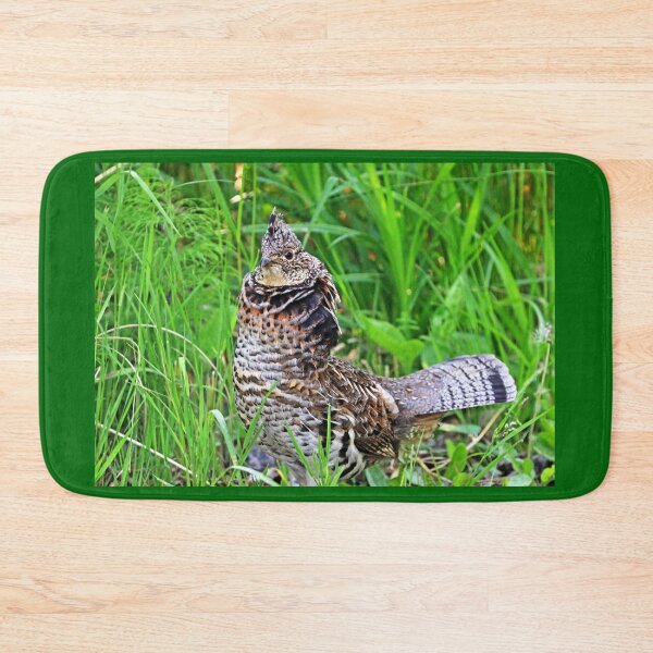 Item preview, Ruffed Grouse Stare designed and sold by Deb Oppermann.