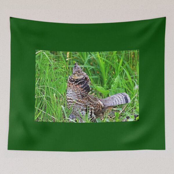 Item preview, Ruffed Grouse Stare designed and sold by Deb Oppermann.