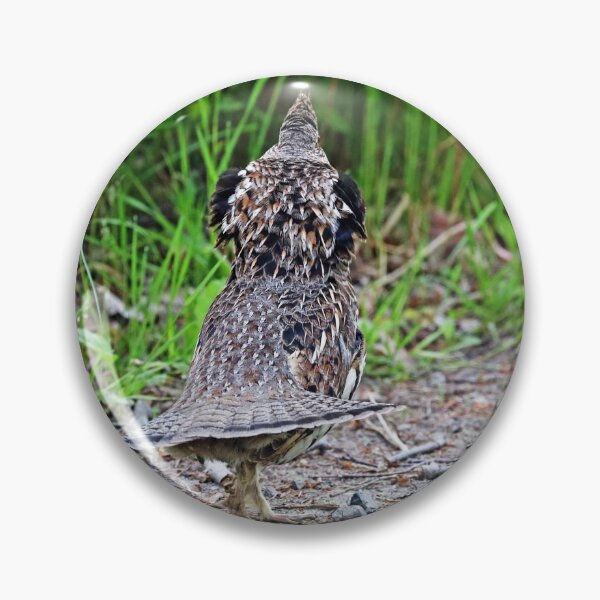 Item preview, Ruffed Grouse Walks Away designed and sold by Deb Oppermann.