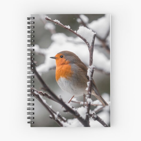 Item preview, Red Robin Bird In The Snow designed and sold by Patricia Jacobs.