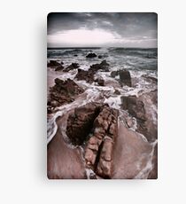 The Black Sea Metal Print