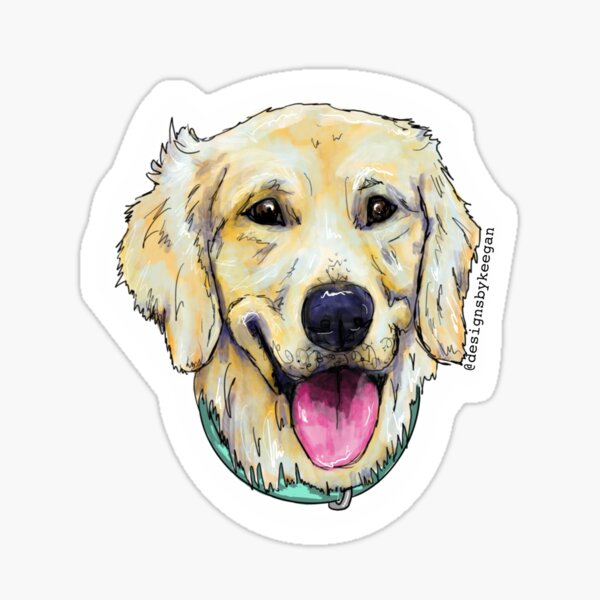English Cream Golden Retriever Sticker