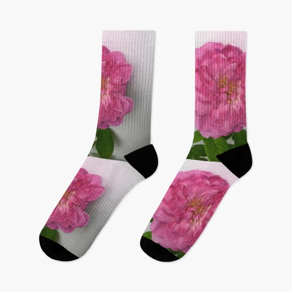Aperçu de l'œuvre Flower créée et vendue par SuperStuff817.