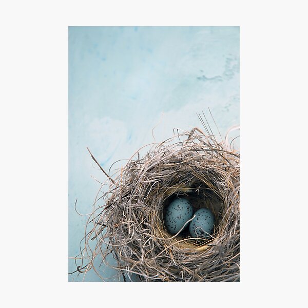 Item preview, Blue Nest designed and sold by Elena Ray.